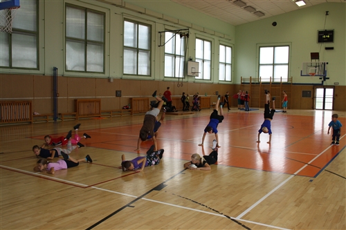 Obrázek v galerii